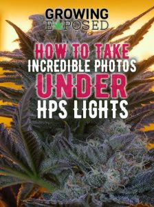 marijuana photo, greenplanet nutrients, growing exposed, weed, cannabis, method seven