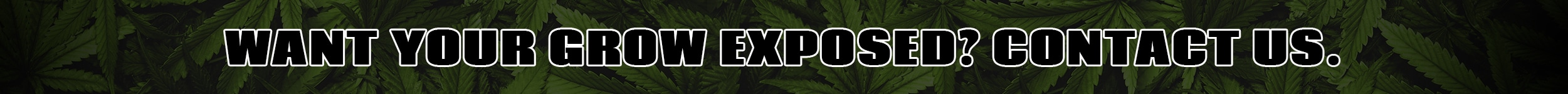 Banner-Want your grow exposed