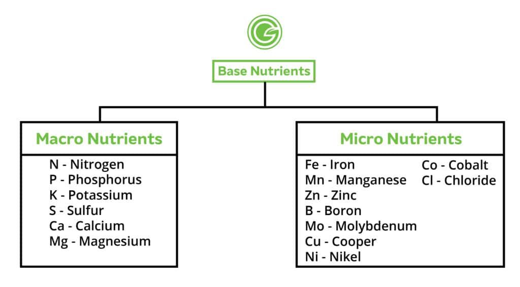 Micronutrients Chart 02 1024x566 1 1