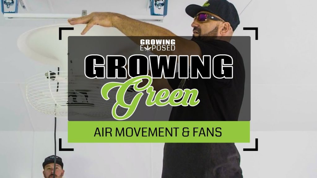 Grow Room Fans and Air Movement