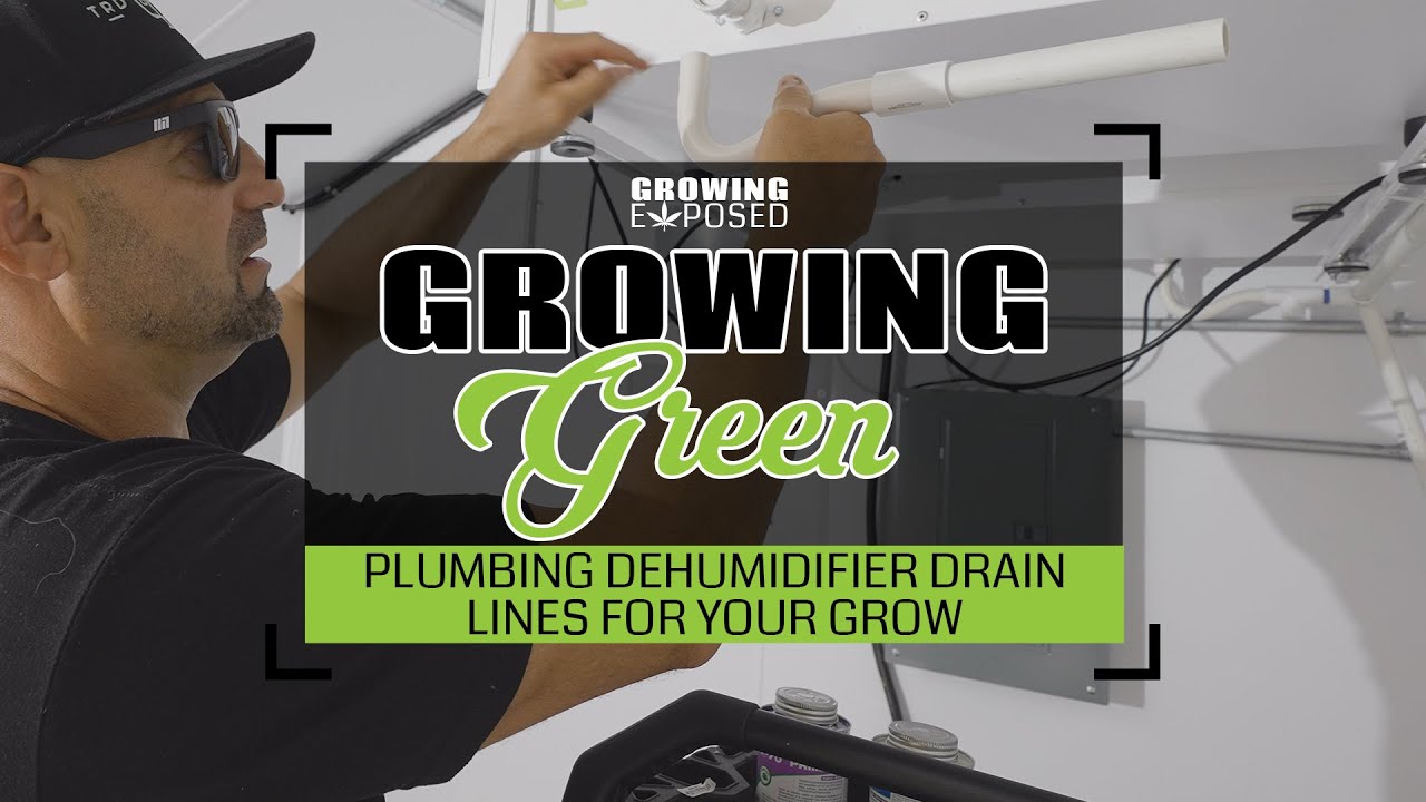 Plumbing Dehumidifier and Air Conditioner Drain Lines for Your Grow