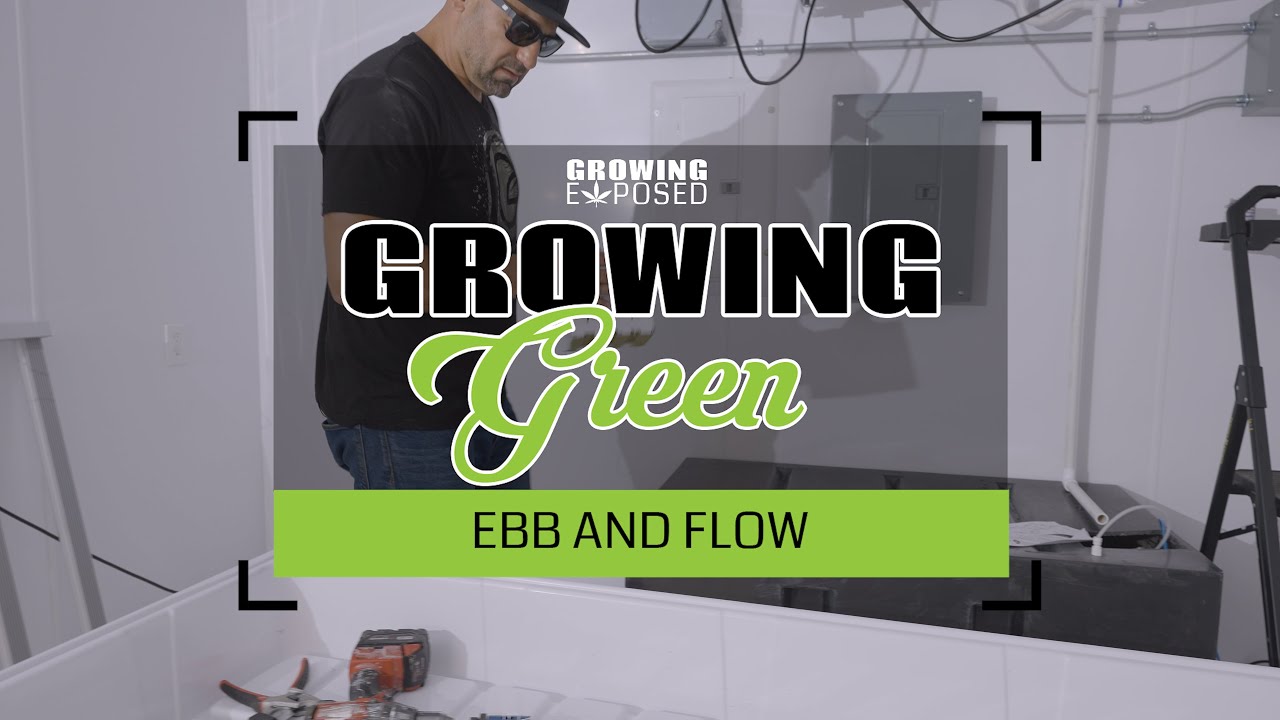 Ebb and Flow System Set Up