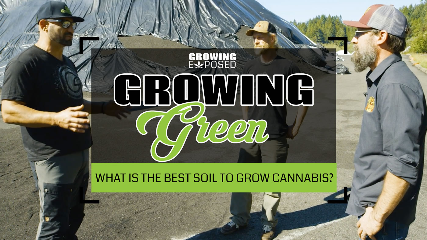 GrowingGreen-What is the Best Soil To Grow Cannabis