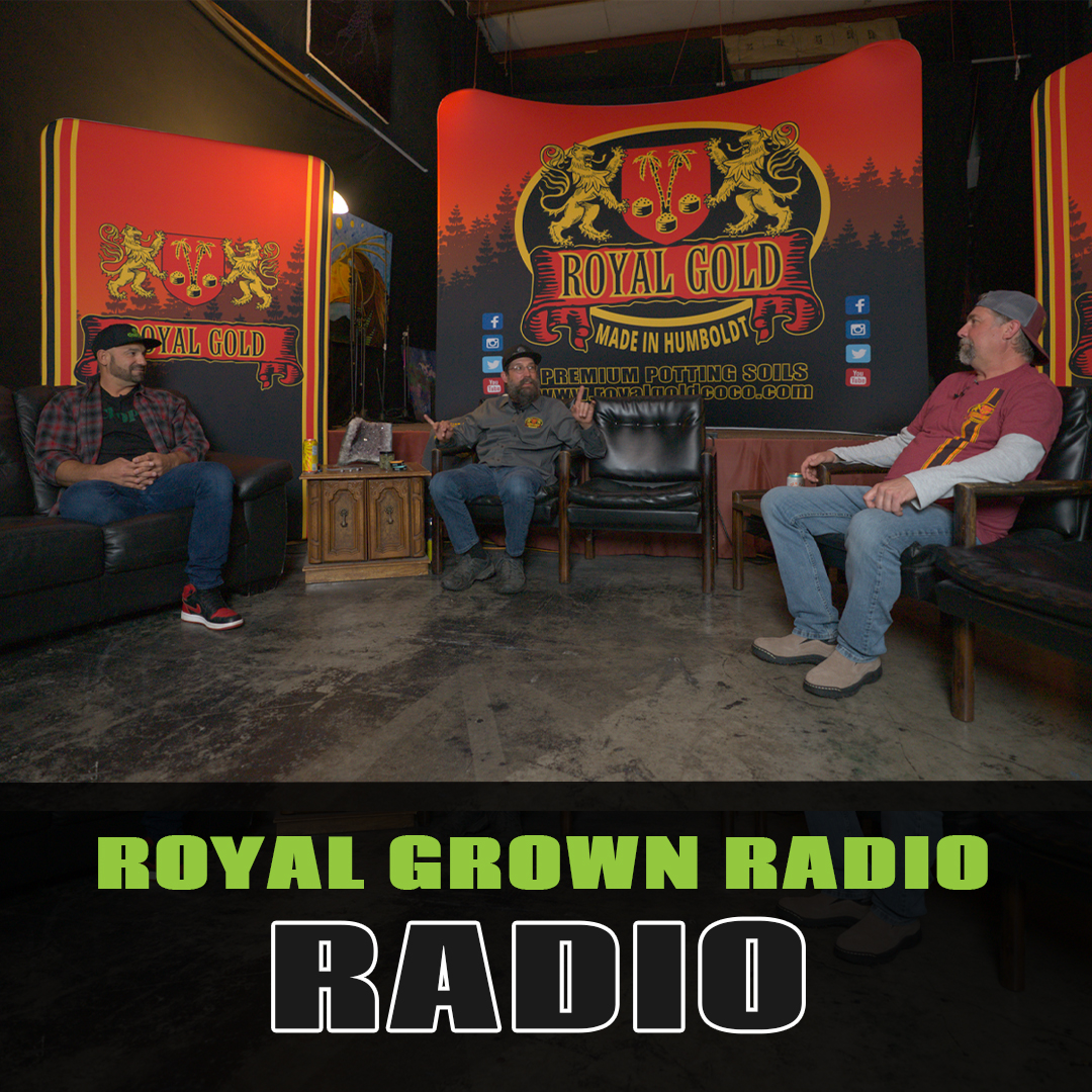 Royal Grown Radio: The Journey of Growing Exposed